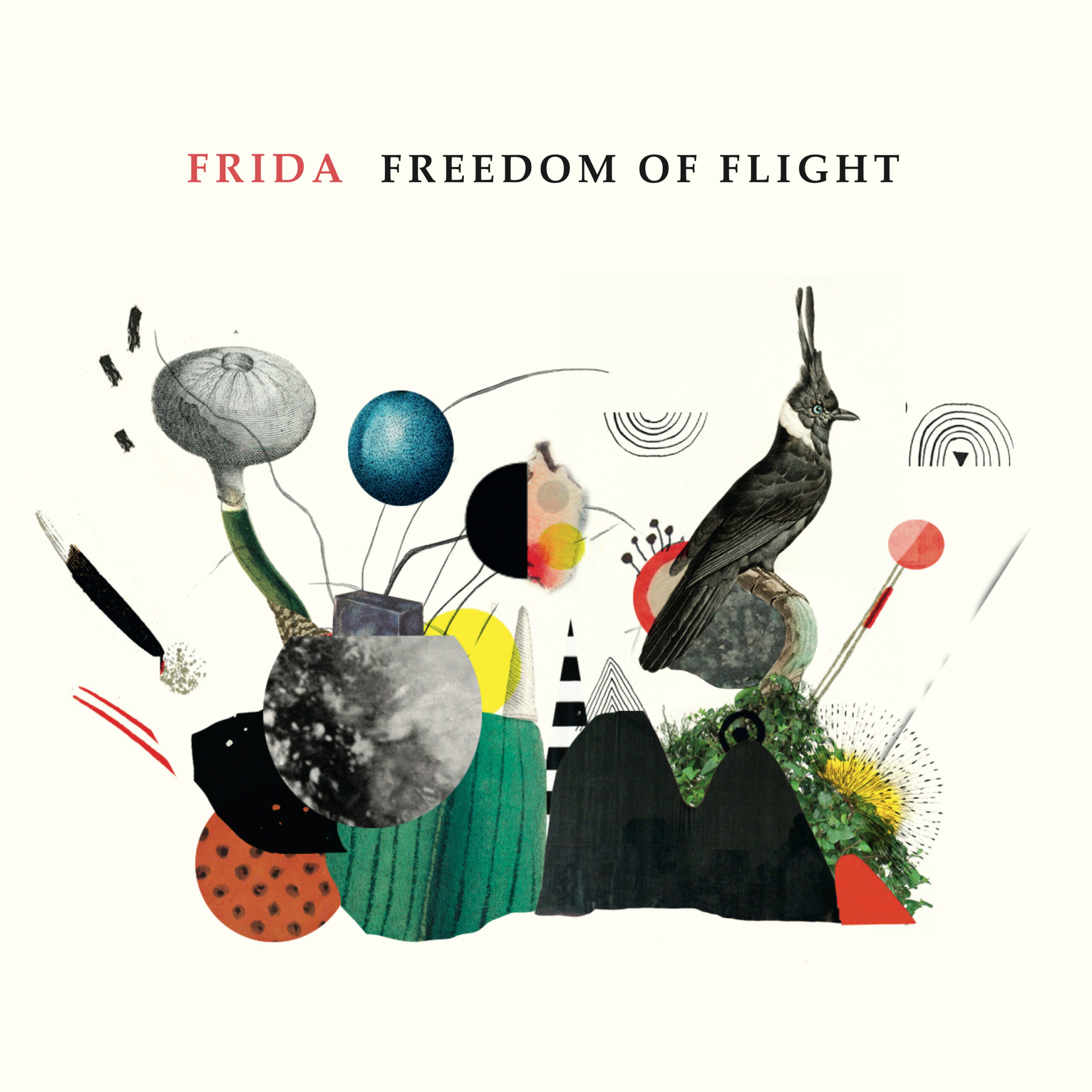 Frida: Freedom Of Flight